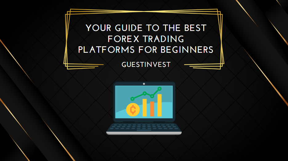 Your Guide to the Best Forex Trading Platforms for Beginners