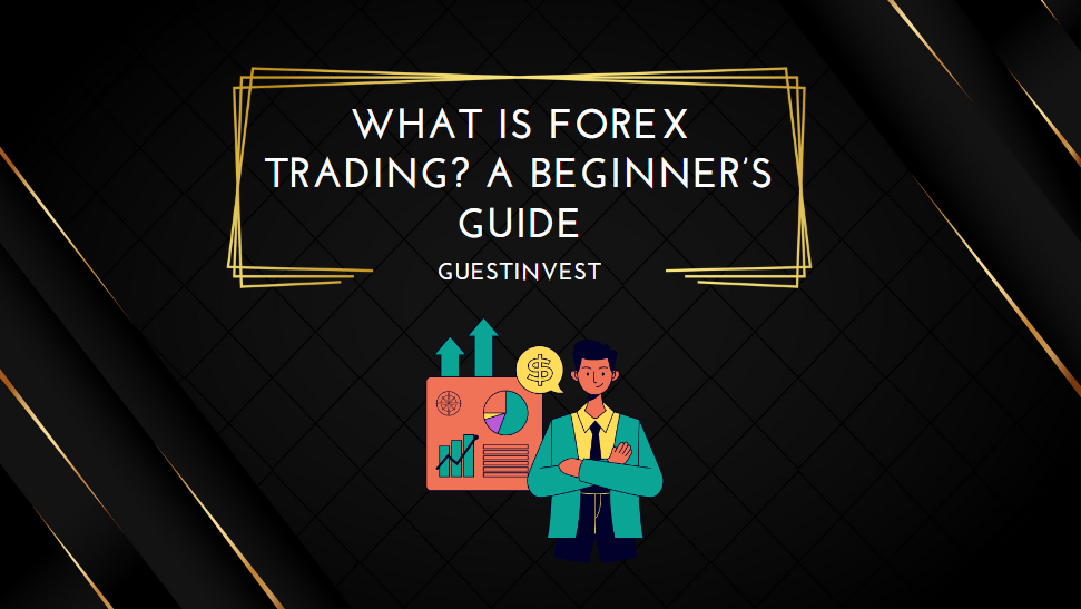 What Is Forex Trading A Beginner’s Guide