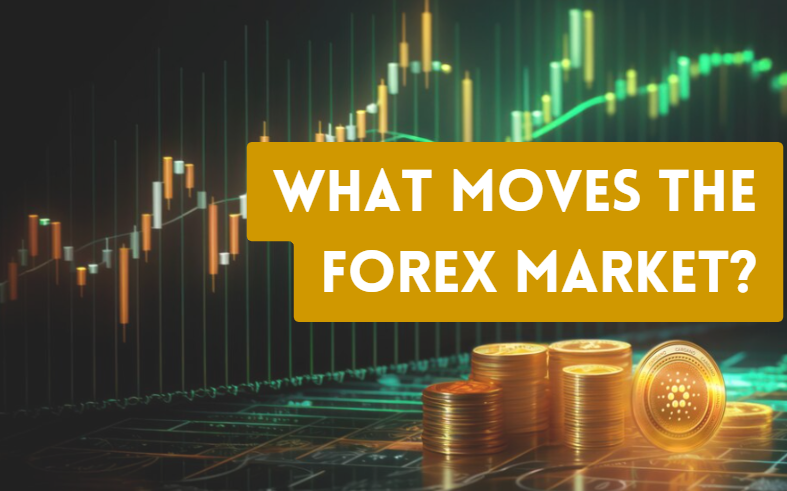 What Moves the Forex Market