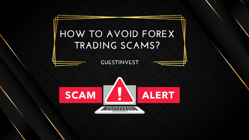 How to Avoid Forex Trading Scams