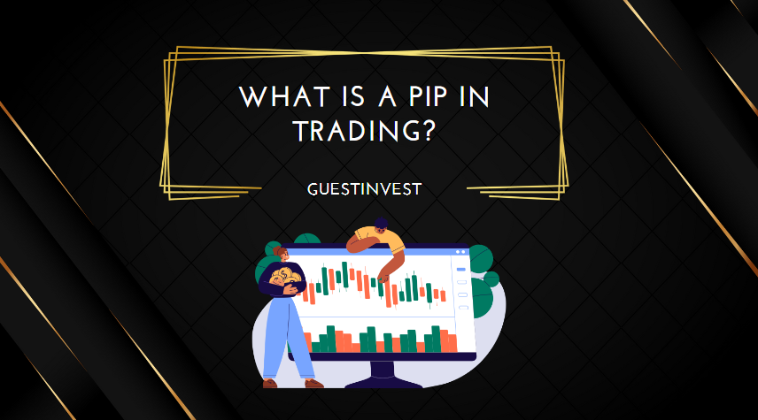 What is a Pip in Trading